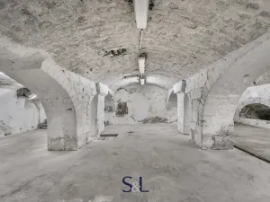 Prodej komerční nemovitosti, Železný Brod, 2098 m2