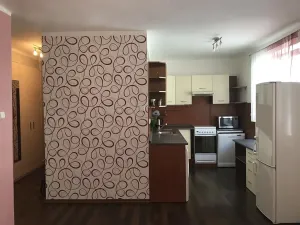 Pronájem bytu 2+kk, Děčín, Plavební, 50 m2