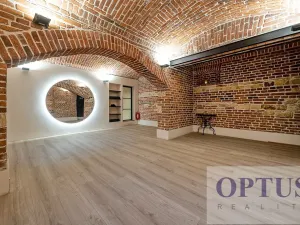 Pronájem bytu 6+kk a větší, Praha - Staré Město, Dušní, 218 m2