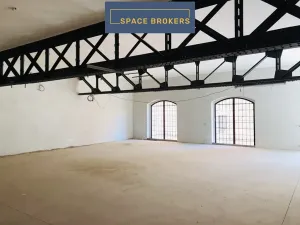 Pronájem kanceláře, Praha, Údolní, 1290 m2