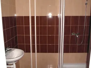 Pronájem bytu 2+1, Brno, Štefánikova, 60 m2