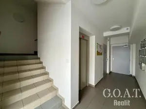 Pronájem bytu 1+kk, Plzeň, Vysoká, 38 m2