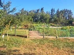 Dražba rodinného domu, Mikolajice, 184 m2