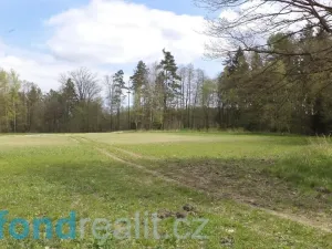 Prodej pozemku, Stráž nad Nežárkou, 6528 m2