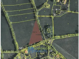 Prodej pozemku, Jestřabí v Krkonoších, 3000 m2