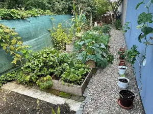 Pronájem bytu 2+1, Pardubice, 50 m2