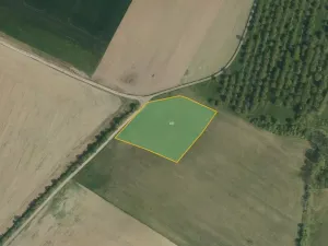 Prodej pole, Luže, 50940 m2