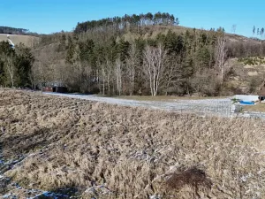 Prodej pozemku pro bydlení, Radnice, Puchmajerova, 850 m2