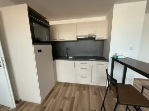 Pronájem bytu 1+kk, Brno, Táborská, 48 m2