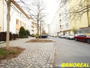 Prodej bytu 5+1, Brno, Střední, 178 m2