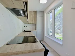 Pronájem bytu 2+kk, Brno, Bystrcká, 51 m2