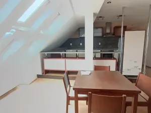 Pronájem bytu 4+kk, Teplice, Svatopluka Čecha, 210 m2