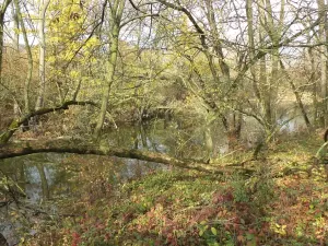 Dražba pozemku, Otrokovice, 810 m2