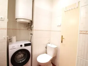 Dražba bytu 2+kk, Praha - Břevnov, U kaštanu, 50 m2