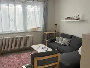 Pronájem bytu 2+kk, Liberec, Žitná, 40 m2