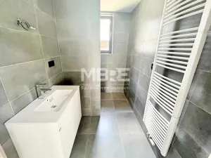 Pronájem rodinného domu, Dolní Lutyně, 240 m2