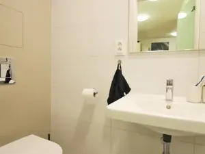 Pronájem bytu 1+kk, Brno, Rumiště, 25 m2