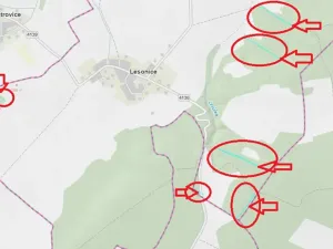 Prodej podílu lesa, Lesonice, 6189 m2