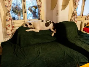 Prodej chaty, Litíč, 60 m2