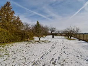 Prodej chalupy, Vinaře, 103 m2