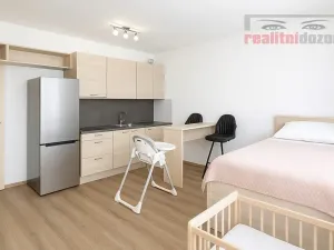 Pronájem bytu 1+kk, Brno, Sentická, 44 m2