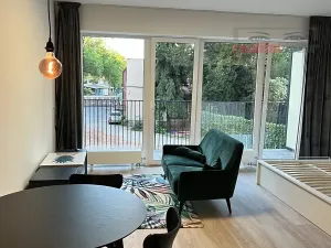 Pronájem bytu 1+kk, Brno, Hybešova, 30 m2