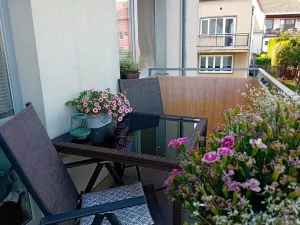 Pronájem bytu 3+kk, Brno, Humenná, 65 m2