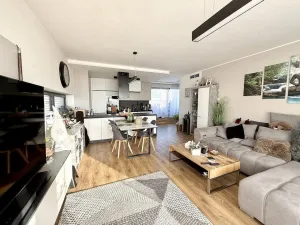 Pronájem bytu 3+kk, Brno - Sadová, Kumpoštova, 152 m2