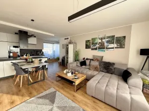 Pronájem bytu 3+kk, Brno - Sadová, Kumpoštova, 152 m2