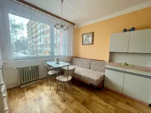 Prodej bytu 1+1, Lovosice, Krátká, 38 m2