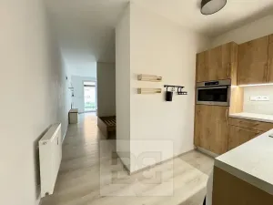 Pronájem bytu 1+kk, Brno, Husovická, 40 m2