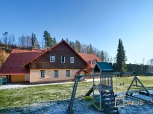 Prodej bytu 1+1, Černý Důl, 24 m2