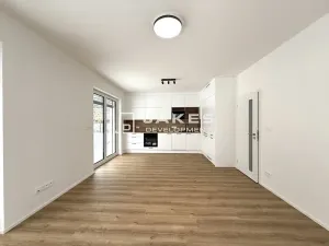 Pronájem bytu 2+kk, Únětice, Rýznerova, 50 m2