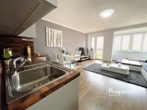 Pronájem bytu 2+kk, Roudnice nad Labem, Havlíčkova, 49 m2