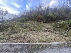 Prodej pozemku pro bydlení, Pustiměř, 1244 m2