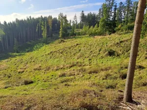 Prodej lesa, Zlín, 26699 m2