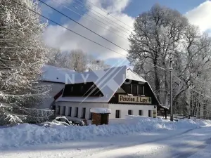 Prodej ubytování, Josefův Důl, 550 m2