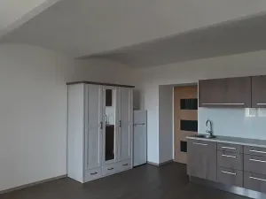 Pronájem bytu 1+kk, Tábor, Hradební, 40 m2
