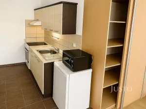 Pronájem bytu 1+kk, Ústí nad Labem, Vinařská, 31 m2