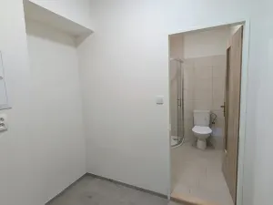 Pronájem bytu 2+kk, Peruc, U Koupaliště, 54 m2
