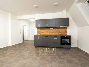 Pronájem bytu 3+kk, Teplice, Pražská, 48 m2