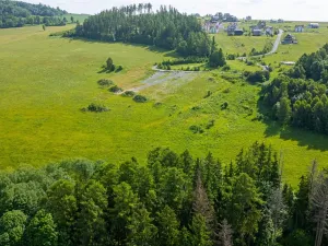 Prodej komerčního pozemku, Václavov u Bruntálu, 5497 m2