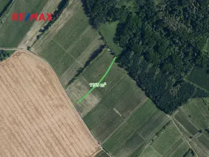 Prodej sadu/vinice, Josefov, 1165 m2