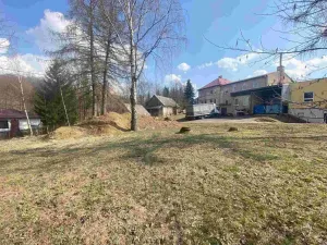 Prodej komerčního pozemku, Rokytnice v Orlických horách, 1012 m2
