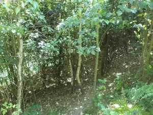 Prodej pozemku, Děčín, 675 m2