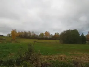 Dražba pole, Mochtín, 38121 m2