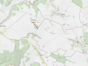 Dražba lesa, Přemyslovice, 6942 m2