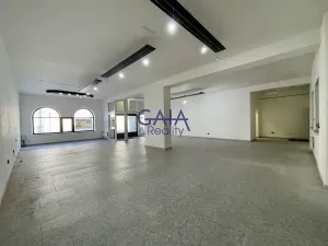 Pronájem obchodního prostoru, Veselí nad Moravou, Zámecká, 184 m2