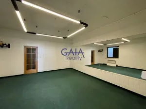 Pronájem obchodního prostoru, Veselí nad Moravou, Zámecká, 184 m2