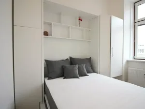 Pronájem bytu 1+kk, Brno, Koliště, 26 m2